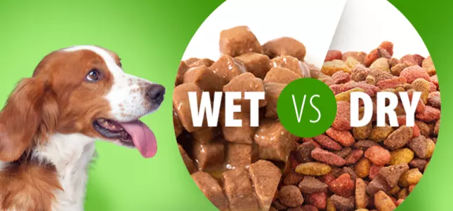 Pros And Cons Of Putting Water In Kibble