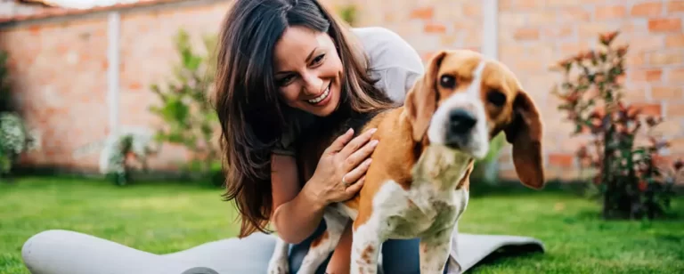 Can You Build Up An Immunity To Dog Allergies